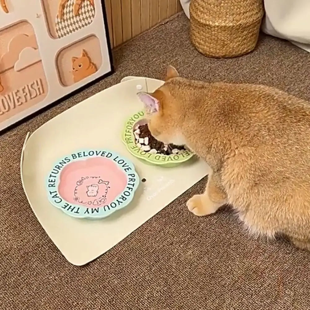 Non-Spill Cat Litter Mat - Waterproof Pet Food Mat for Cat Litter Box, Easy Clean